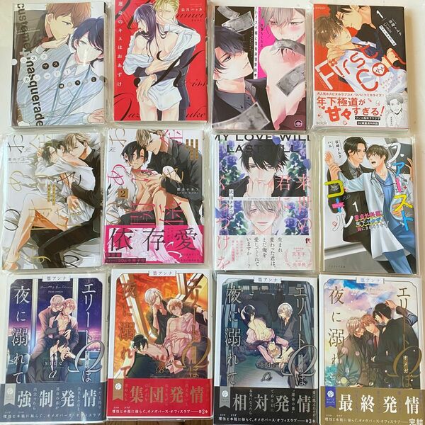 BL 漫画 コミック×11 小説×1 12冊セット ボーイズラブ 女性漫画 大人向けコミックス