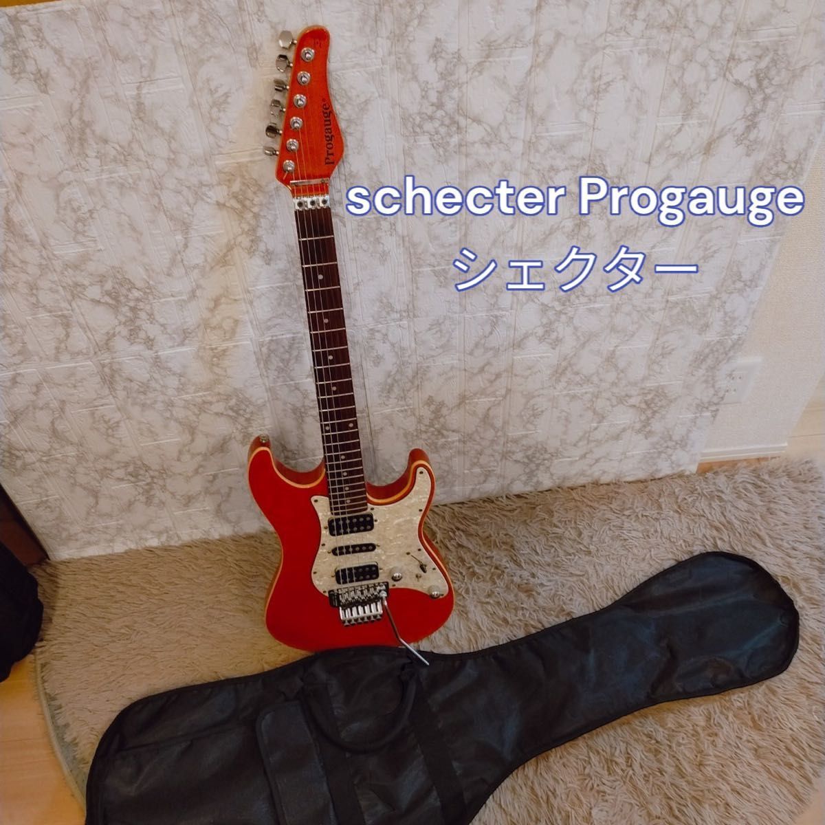 2023年最新】ヤフオク! -schecter ケースの中古品・新品・未使用品一覧