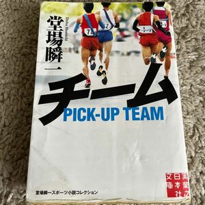 チーム （実業之日本社文庫　と１－３　堂場瞬一スポーツ小説コレクション） 堂場瞬一／著