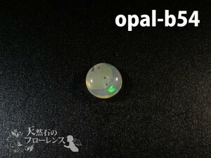 オパール 粒売 天然石 ボタン 約7-8×4.5-5mm玉 1粒 opal-b54 auc