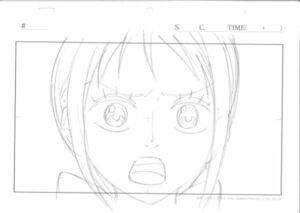 【希少】ONE PIECE　アニメ原画　ラフ原画　ワノ国編　ナミ　ルフィ　25A021