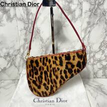 ☆極美品☆ Christian Dior ハラコ　レザー　切り替え　レオパード柄　裏地トロッター柄　サドルバック　ショルダーバッグ_画像1