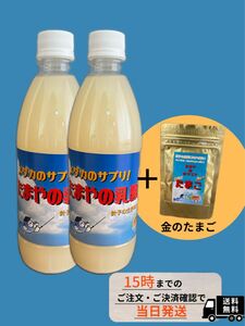 【たまやの乳酸菌500ml 2本】＋【金のたまご1袋】の3点セット！