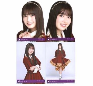 【10/15-6】乃木坂46 公式グッズ 生写真 4枚コンプ　 ヨリチュウヒキ　◎小川彩　CD封入特典　人は夢を二度見る　初回仕様限定盤　4種