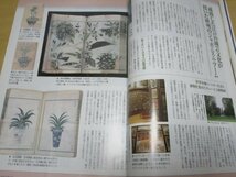 欧州の植物ハンターが追い求めた江戸の植物・園芸■サライ_画像4