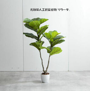 送料無料 光触媒人工観葉植物リラータ 造花 人工植物 フェイクグリーン（1274）