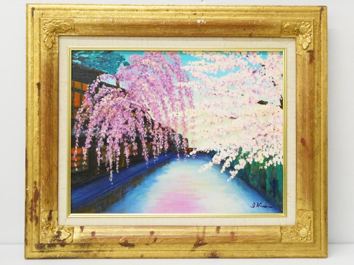 ♯13) Paisaje de pintura al óleo de flores de cerezo Shirakawa de Iwatomo Hase Gion Shirakawa pintado a mano No. F6 Creado en 2005 ¡Firmado y enmarcado! Muchas exposiciones individuales realizadas en todo el país. El padre es el pintor Yamatoji Taro Hase Primavera de Kioto., cuadro, pintura al óleo, Naturaleza, Pintura de paisaje