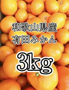 ☆106 格安 和歌山県産 有田みかん 3kg 即日発送 産地直送 Sサイズ 早生みかん 甘い 美味しい 小粒 採れたて 小玉 みかん