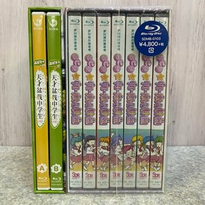 私立恵比寿中学 エビ中の天才盆栽中学生(仮) Blu-ray BOX+エビ中☆グローバル化計画 全7巻 Blu-ray BOX【44AY】231004SK240132