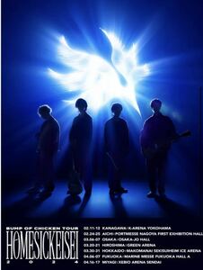 BUMP OF CHICKEN 「BUMP OF CHICKEN TOUR ホームシック衛星2024」シリアルナンバー　