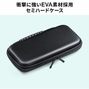 Switch Lite専用 収納ポーチ ガラスフィルム、クロス付き 新品未使用