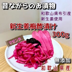 新生姜梅酢漬け300g