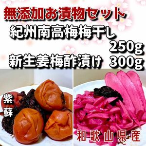 紀州南高梅　無添加梅干し250g新生姜梅酢漬け300g