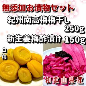 紀州南高梅　無添加梅干し（白梅）250g新生姜梅酢漬け150g