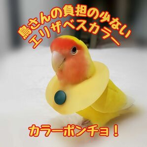 インコ エリザベスカラー(ポンチョタイプ)1枚・3サイズ・3色・3g