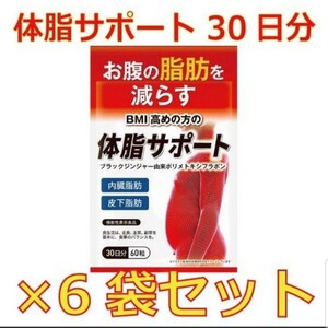 【6袋セット】体脂サポート お腹の脂肪を減らす サプリメント ブラックジンジャー αリポ酸配合 機能性表示食品 30日分