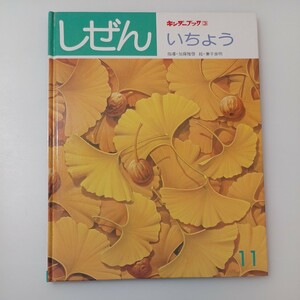 zaa-519♪キンダーブック３　しぜん【いちょう】加藤雅啓(指導)　兼子良明(絵)　1983年 フレーベル館 　