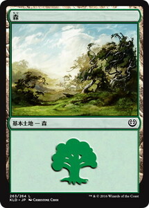 MTG　【Foil】 森　基本土地　262　264　在庫日3枚まで　ホイル　カラデシュ　KLD　★他多数出品中