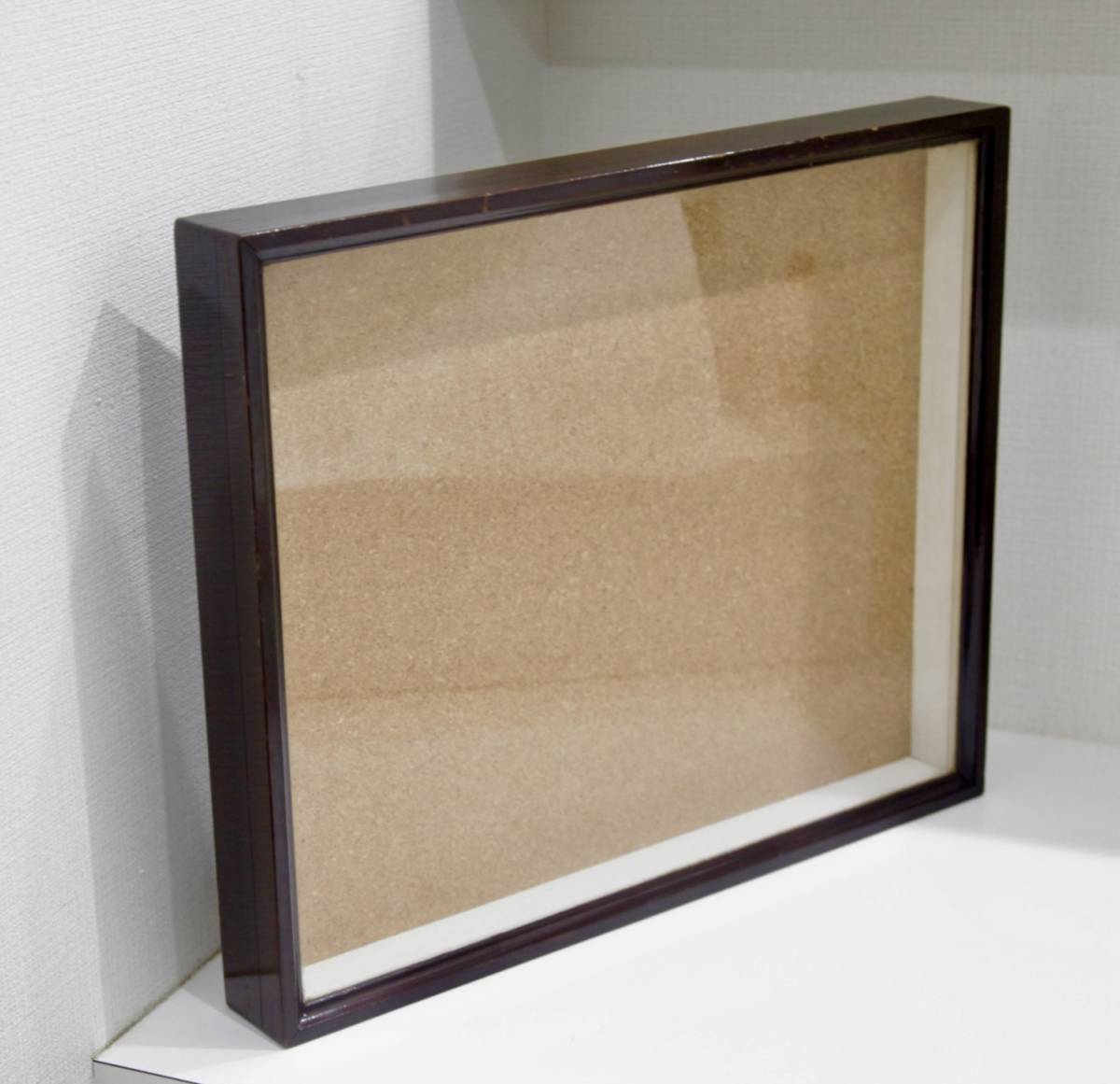 2023年最新】ヤフオク! -昆虫 標本 箱の中古品・新品・未使用品一覧