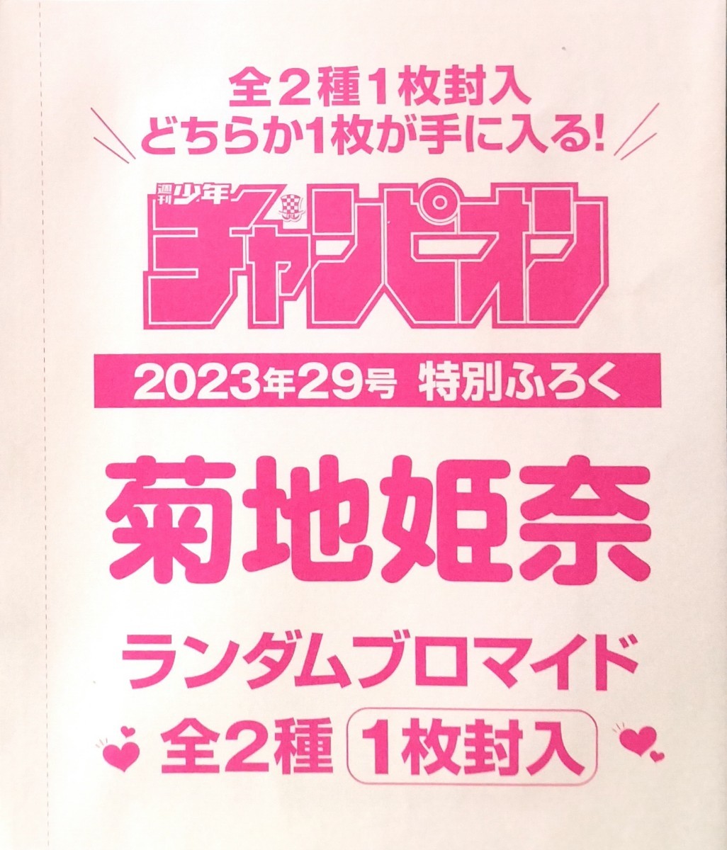 愛衣 山崎真実 吉原夏紀 グラビア切り抜き 週刊ヤングマガジン No.1321 素敵でユニークな 愛衣 山崎真実 週刊ヤングマガジン グラビア