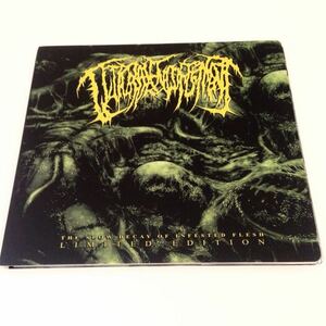 Guttural Engorgement / The Slow Decay Of Infested Flesh 希少 500枚限定 ブルデス スラミング Glossectomy Amputated Genitals