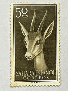 外国切手　スペイン領サハラ　50CTS