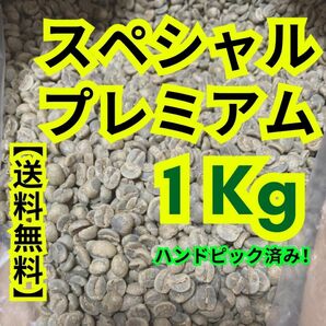 【24時間以内に発送】スペシャルプレミアム【生豆珈琲】【1 Kg】【送料無料】