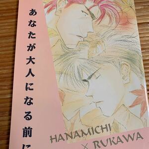 スラムダンク同人誌★ Carne‐[s]/朧月夜★あなたが大人ぬなる前に★花道×流川/花流