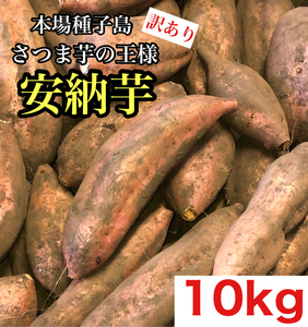 【希少】本場種子島産 安納芋 訳あり 10kg さつまいも