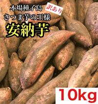 【希少】本場種子島産 安納芋 訳あり 10kg さつまいも c_画像1