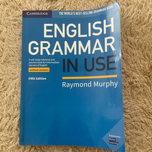 English Grammar in USE fifth edition 書き込み無しです。
