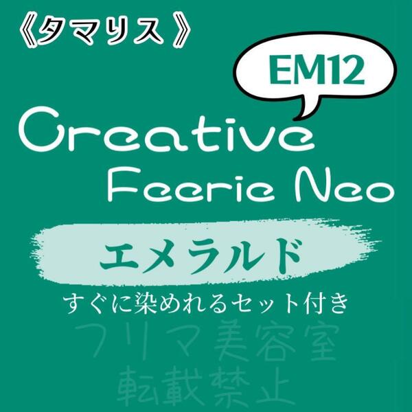 EM12 ファッションカラー　セット　ロング　ヘアカラー　エメラルド マット　グリーン