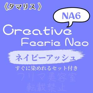 NA6 ファッションカラー　セット　ショート　メンズ　ヘアカラー　ネイビーアッシュ