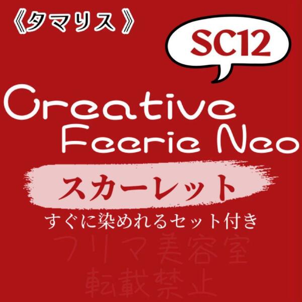 SC12 ファッションカラー　セット　ロング　ヘアカラー　スカーレット レッド　すぐに使える　美容室　ヘアカラー剤　おしゃれ染め