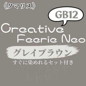 GB12 ファッションカラー　セット　ロング　ヘアカラー剤　グレイブラウン グレー　ベージュ　ヘアカラー剤　おしゃれ染め