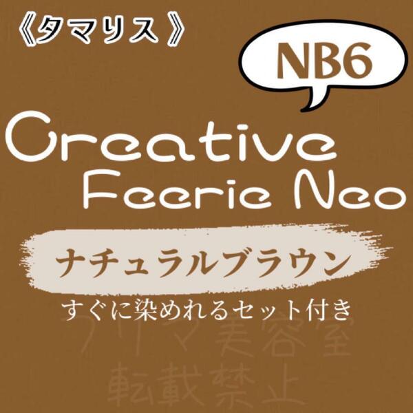 NB6 ファッションカラー　セット　ロング　ヘアカラー剤　ナチュラルブラウン　茶色　ヘアカラー　すぐに使える　美容室　おしゃれ染め