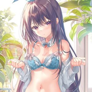 等身大 タペストリー 黒アリスちゃん みわべさくら 新品未開封