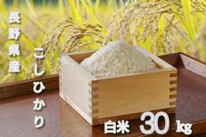 [新米]【白米】令和5年長野県産コシヒカ30キロ（10キロ×3袋） 棚田米 精米したてをお届け !!