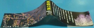 ※彼岸島 48日後…20巻初版帯のみ　松本光司　講談社　ヤングマガジンコミックス