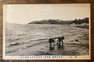 JJ-1543 ■送料込■ 香川県 讃岐 源平古戦場 屋島壇ノ浦那須之与一的場全景 那須与一 屋島の戦い 絵葉書 写真 古写真 印刷物/くFUら