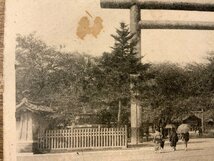 JJ-1469 ■送料込■ 東京 東京名所 九段靖国神社 寺 神社 境内 鳥居 参拝 女性 着物 日傘 絵葉書 写真 古写真 印刷物 ●未使用/くKAら_画像2