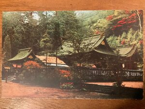 FF-7234 ■送料込■ 神奈川県 相州 箱根 箱根神社 紅葉 秋景 建物 建築物 庭 風景 景色 名所 戦前 絵葉書 古葉書 郵便 写真 古写真/くNAら