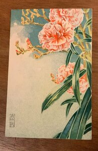 FF-7268 ■送料込■ 日本植苗株式会社発行 花 絵 絵画 美術品 レトロ 草花 イラスト 東京都 戦前 絵葉書 古葉書 郵便 写真 古写真/くNAら