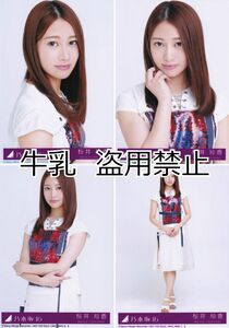 桜井玲香 生写真 コンプ 乃木坂46 帰り道は遠回りしたくなる