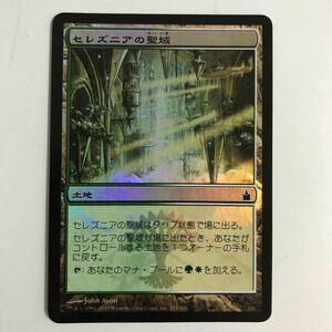 MTG RAV セレズニアの聖域 Foil ラヴニカ ギルドの都 日本語版 2005 281/306