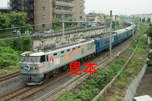 鉄道写真データ（JPEG）、00495155、EF510-510＋臨時北斗星、JR東北本線、東大宮〜蓮田、2015.07.02、（7360×4912）