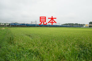 鉄道写真データ（JPEG）、00506727、EF510＋臨時北斗星、JR東北本線、蓮田〜東大宮、2015.08.21、（7360×4912）