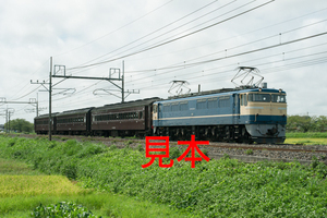 鉄道写真データ（JPEG）、00516917、SL山形日和左沢線号送り込み回送、EF65-501＋旧客、JR東北本線、東大宮〜蓮田、2015.09.02（6809×4544