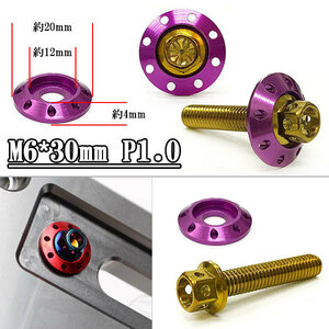 フランジ付六角ボルト M6*30mm P1.0 カラーワッシャー付 フジツボ 座面枠付 20mm 外装 汎用 車 バイク ゴールド×パープル