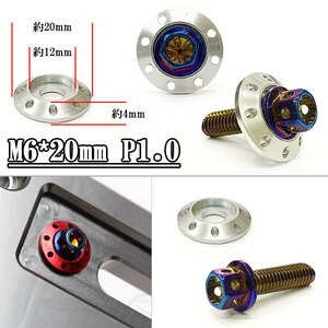 フランジ付六角ボルト M6*20mm P1.0 カラーワッシャー付 フジツボ 座面枠付 20mm 外装 汎用 車 バイク 焼きチタン×シルバー